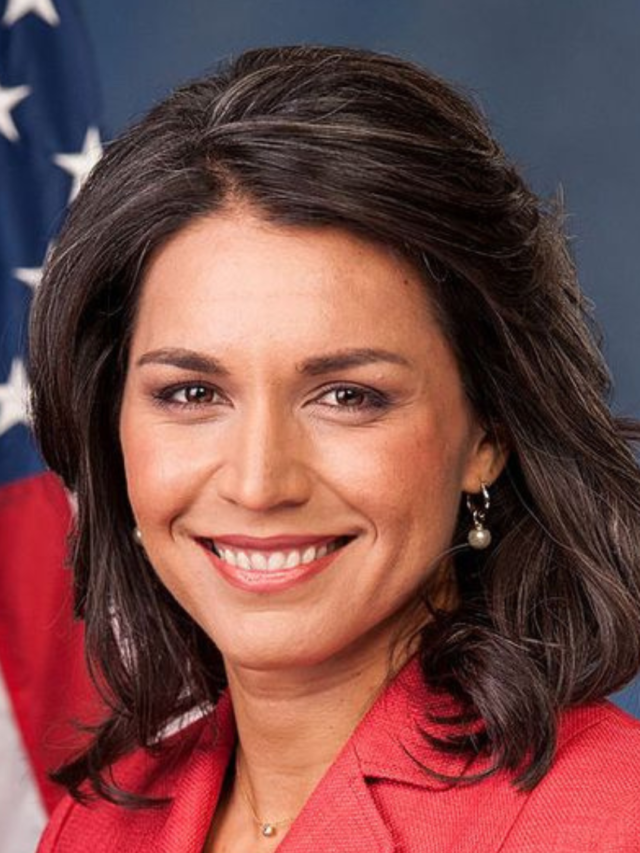 tulsi gabbard net worth